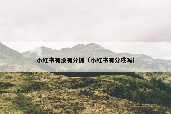 小红书有没有分佣（小红书有分成吗）