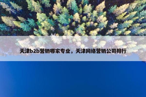 天津b2b营销哪家专业，天津网络营销公司排行