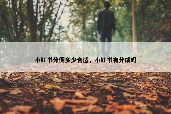 小红书分佣多少合适，小红书有分成吗