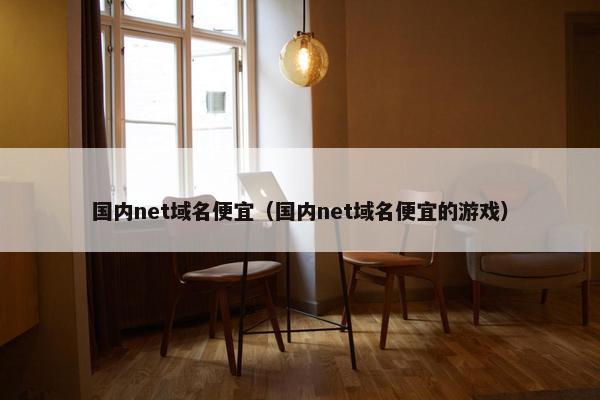 国内net域名便宜（国内net域名便宜的游戏）
