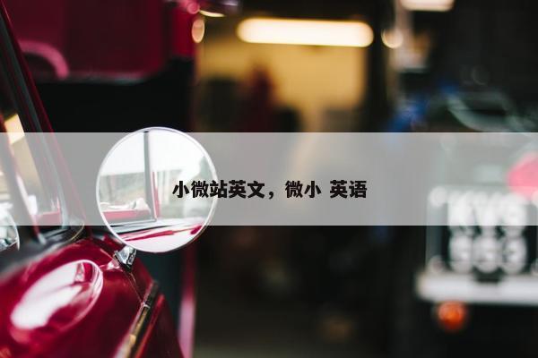 小微站英文，微小 英语
