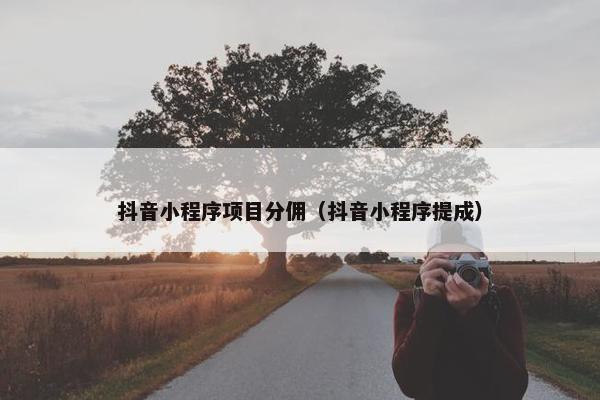 抖音小程序项目分佣（抖音小程序提成）