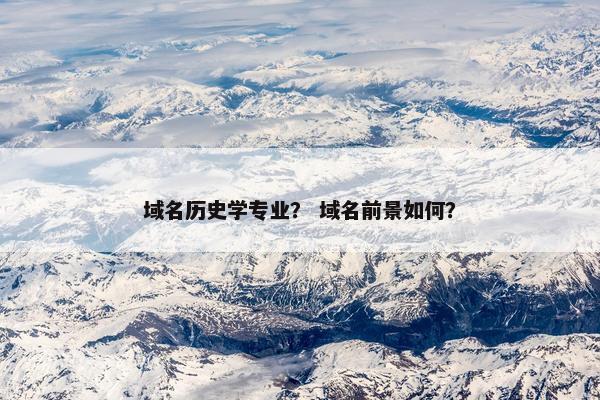 域名历史学专业？ 域名前景如何？
