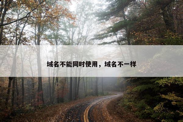 域名不能同时使用，域名不一样