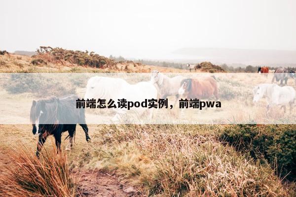 前端怎么读pod实例，前端pwa