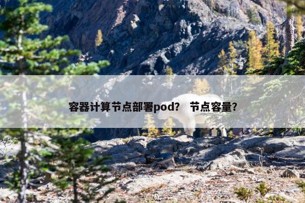 容器计算节点部署pod？ 节点容量？