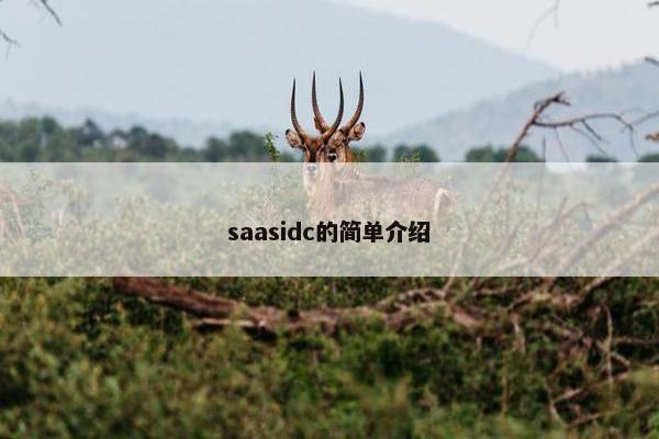 saasidc的简单介绍