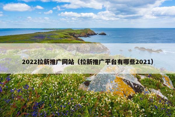 2022拉新推广网站（拉新推广平台有哪些2021）