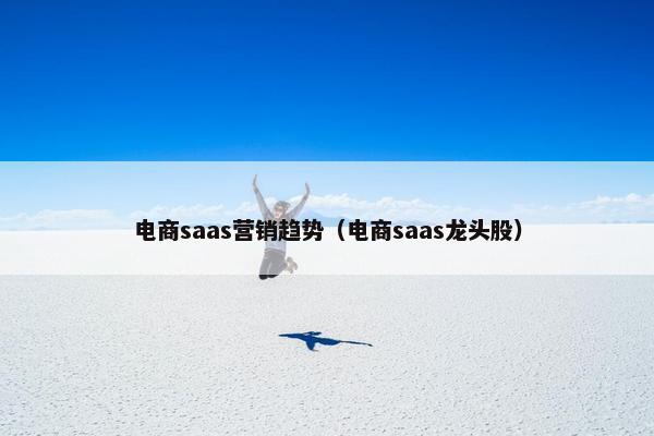 电商saas营销趋势（电商saas龙头股）