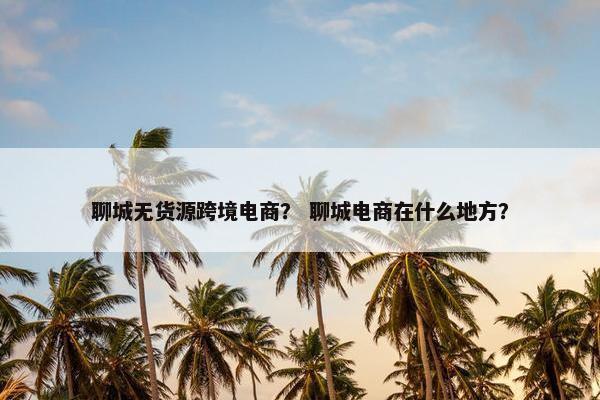 聊城无货源跨境电商？ 聊城电商在什么地方？