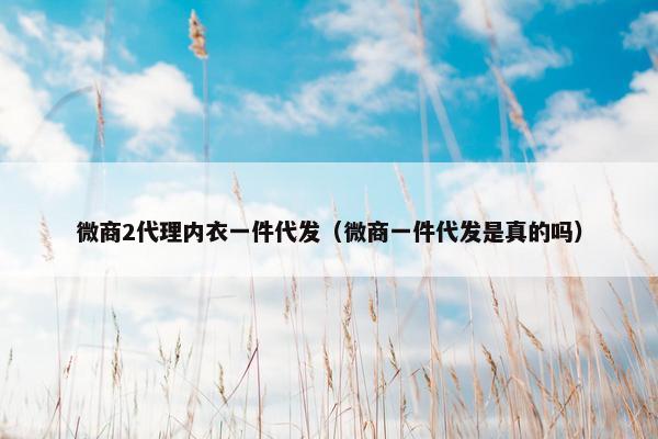 微商2代理内衣一件代发（微商一件代发是真的吗）
