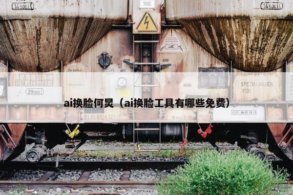 ai换脸何炅（ai换脸工具有哪些免费）