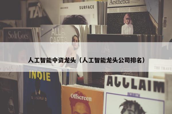 人工智能中资龙头（人工智能龙头公司排名）