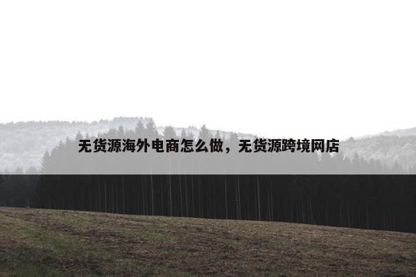 无货源海外电商怎么做，无货源跨境网店