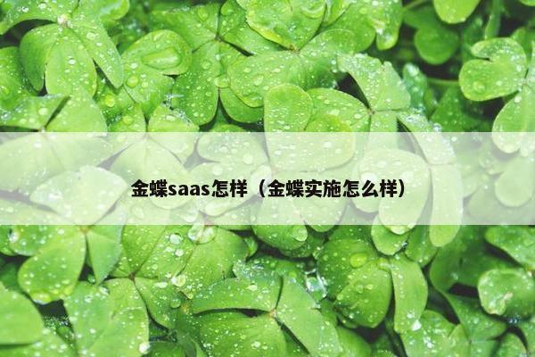 金蝶saas怎样（金蝶实施怎么样）