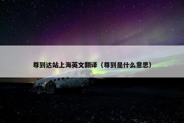 尊到达站上海英文翻译（尊到是什么意思）