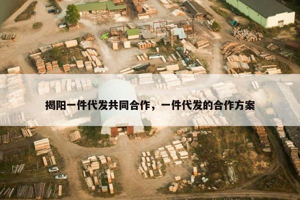 揭阳一件代发共同合作，一件代发的合作方案