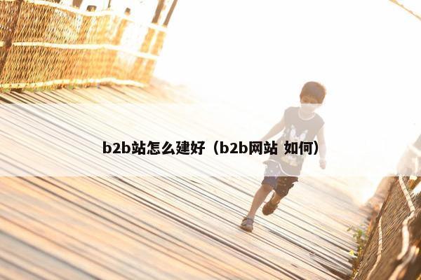 b2b站怎么建好（b2b网站 如何）