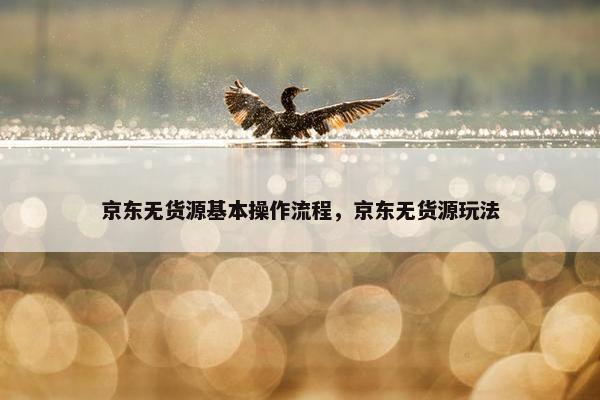 京东无货源基本操作流程，京东无货源玩法