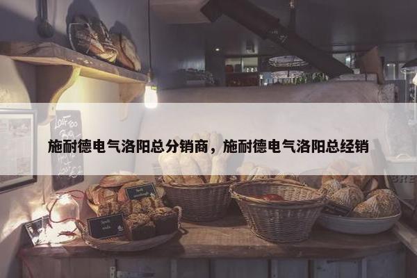 施耐德电气洛阳总分销商，施耐德电气洛阳总经销