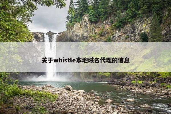 关于whistle本地域名代理的信息