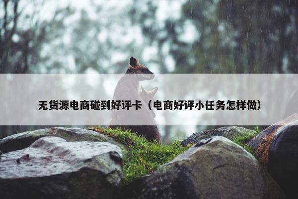 无货源电商碰到好评卡（电商好评小任务怎样做）