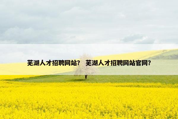 芜湖人才招聘网站？ 芜湖人才招聘网站官网？