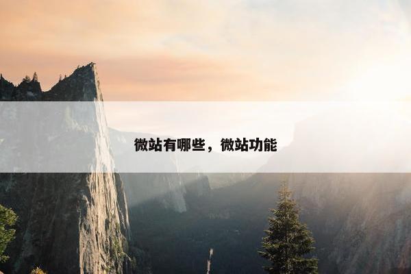 微站有哪些，微站功能