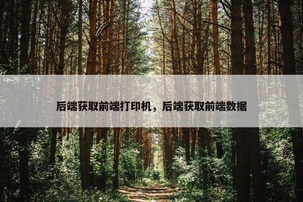 后端获取前端打印机，后端获取前端数据