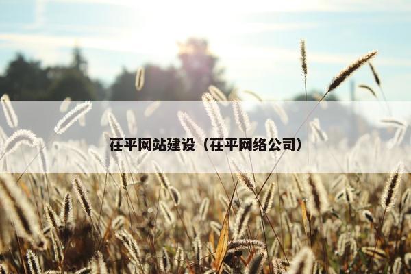 茌平网站建设（茌平网络公司）