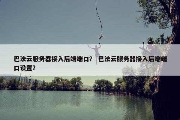 巴法云服务器接入后端端口？ 巴法云服务器接入后端端口设置？