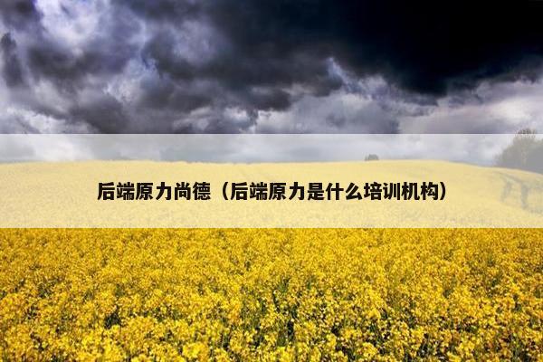 后端原力尚德（后端原力是什么培训机构）