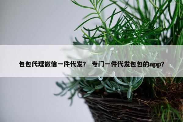 包包代理微信一件代发？ 专门一件代发包包的app？