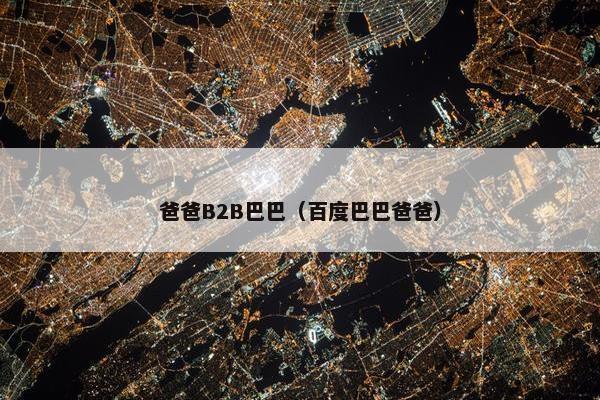 爸爸B2B巴巴（百度巴巴爸爸）