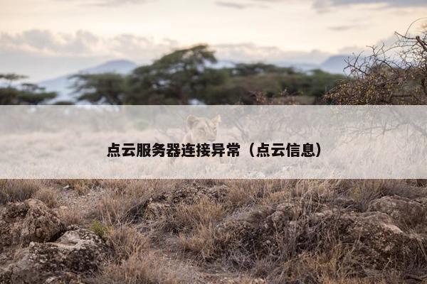 点云服务器连接异常（点云信息）