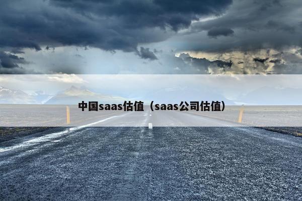 中国saas估值（saas公司估值）