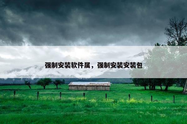 强制安装软件属，强制安装安装包