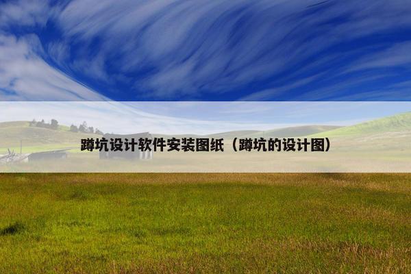 蹲坑设计软件安装图纸（蹲坑的设计图）