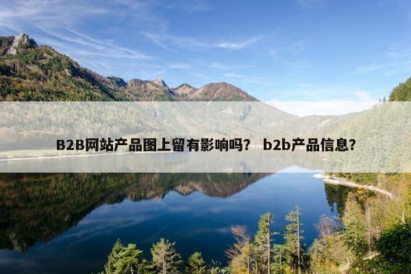B2B网站产品图上留有影响吗？ b2b产品信息？