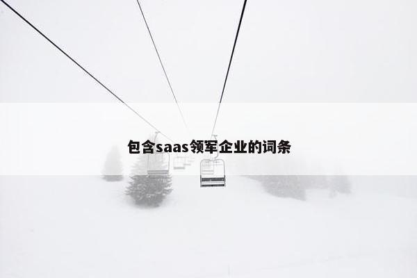 包含saas领军企业的词条