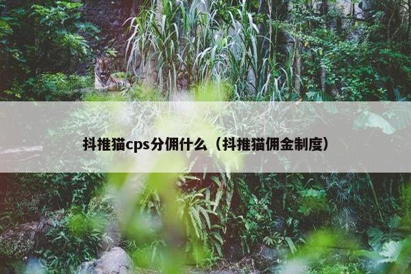 抖推猫cps分佣什么（抖推猫佣金制度）