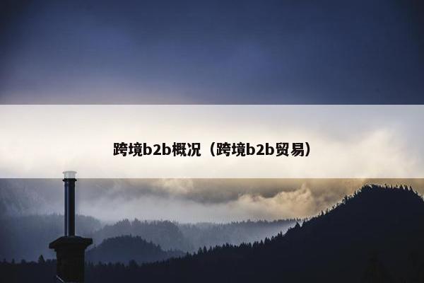 跨境b2b概况（跨境b2b贸易）