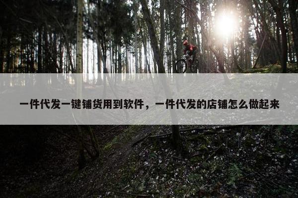 一件代发一键铺货用到软件，一件代发的店铺怎么做起来