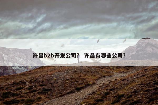 许昌b2b开发公司？ 许昌有哪些公司？