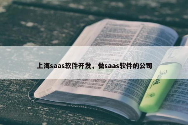 上海saas软件开发，做saas软件的公司