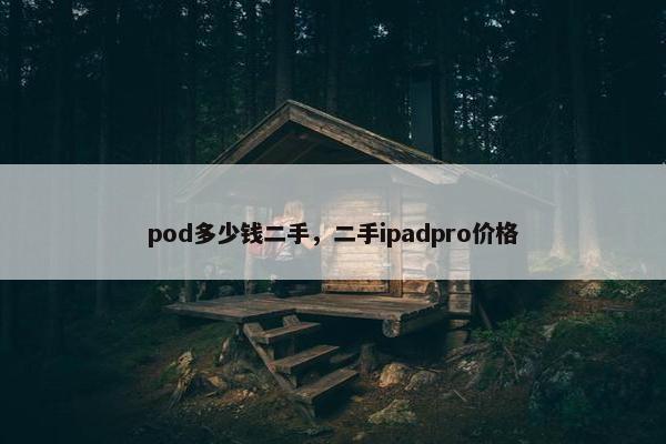 pod多少钱二手，二手ipadpro价格