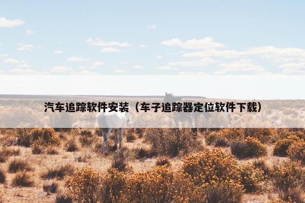 汽车追踪软件安装（车子追踪器定位软件下载）