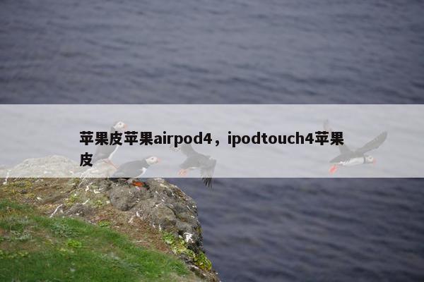 苹果皮苹果airpod4，ipodtouch4苹果皮