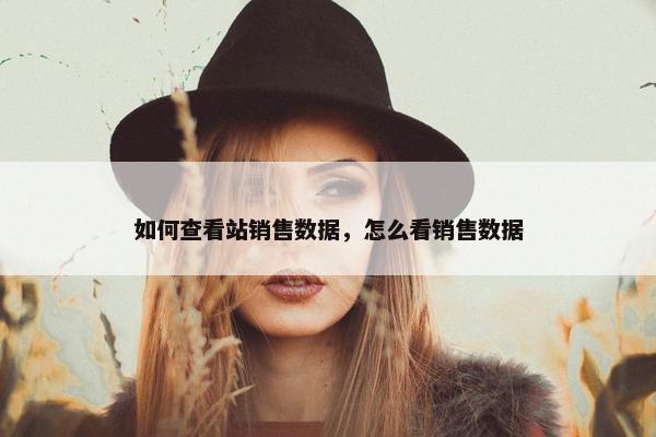 如何查看站销售数据，怎么看销售数据