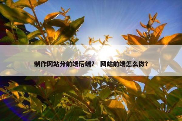 制作网站分前端后端？ 网站前端怎么做？